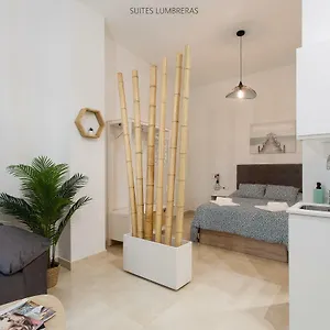 Lumbreras Apartament